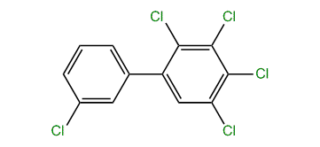 2,3,3',4,5-Pentachloro-1,1-biphenyl